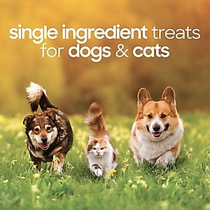 Smallbatch Pets Chicken Hearts Grain-Free Adult Freeze-Dried Dog & Cat Treats, 3.5-oz bag