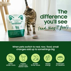 Smallbatch Pets Grain-Free Natural High-Protein Raw Sliders Pork Freeze-Dried Dog Food, 25-oz bag slide 2 of 9