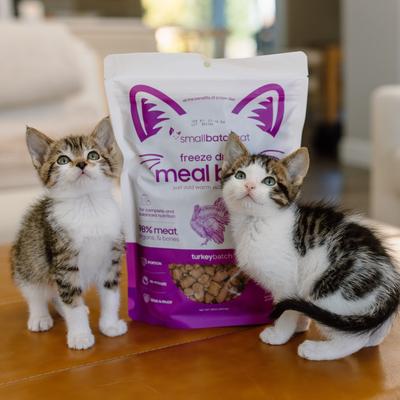 Show full view: Smallbatch Pets Non-GMO Turkey Meal Bites Freeze-Dried Cat Food, 10-oz bag slide 8 of 9