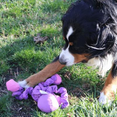Show full view: Smart Pet Love Snuggle Puppy Tender Tuffs Orange Octopus Tug-of-War Squeaky Dog Toy, Purple slide 5 of 8