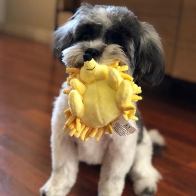 Show full view: Smart Pet Love Snuggle Puppy Tender-Tuffs Yellow Hedgehog Squeaky Dog Toy, Small slide 5 of 9