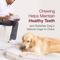 Show in main carousel: SmartBones Easy-to-Digest High Protein Chicken & Sirloin Rawhide-Free Dog Chews, 8 count slide 9 of 10