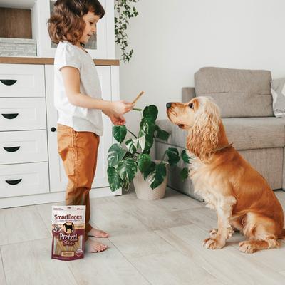 Show full view: SmartBones Pretzel Sticks Dipped Real Cheese Dog Treats, 8 count slide 6 of 8