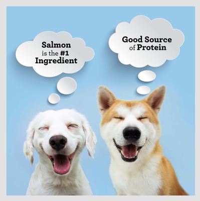 Show full view: SmartBones Protein Rings Real Salmon & Chickpeas Dog Treats, 5-oz bag slide 5 of 11