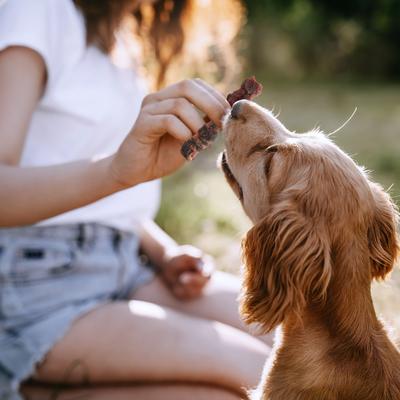 Show full view: SmartBones Triple Flavor Dual Wraps Real Chicken, Beef & Pork Dog Treats, 8 count slide 7 of 11