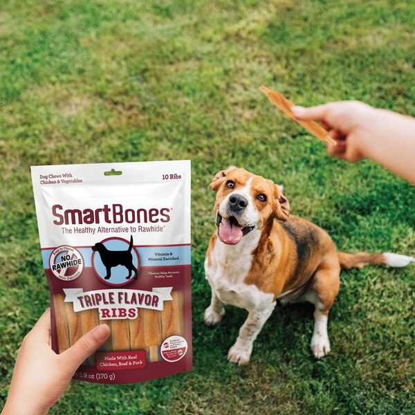 Boucherie Smoked Back Ribs Flavor Dog Treats, 3 count