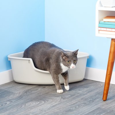 SmartCat SmartCat Corner Litter Box