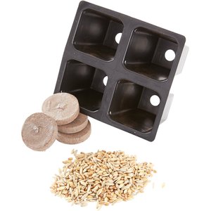 SmartCat Kitty's Garden Seed Refill Kit