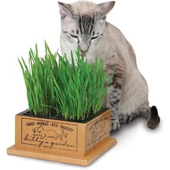 SmartCat Kitty's Garden