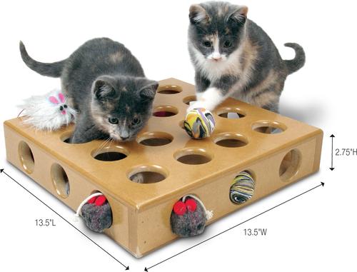 SMARTCAT Peek-a-Prize Toy Box - Chewy.com