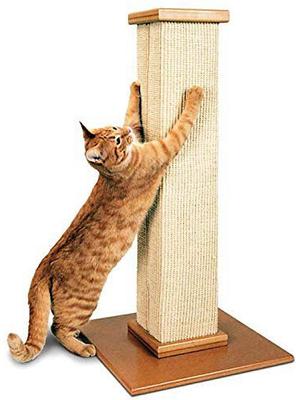 Show full view: SmartCat The Ultimate 32-in Sisal Cat Scratching Post + Bootsie's Combination Scratcher slide 2 of 10