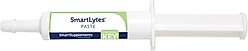 SmartEquine SmartSupplements SmartLytes Paste Horse Electrolyte Supplement, 1 count
