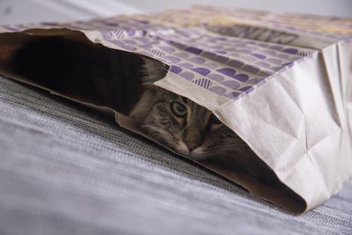 Show full view: SmartyKat Cat Caves Catnip Infused Paper Bags, 2 count slide 3 of 10