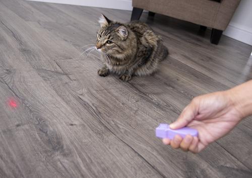 Show full view: SmartyKat Feline Flash Laser Pointer Cat Toy slide 3 of 8