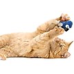 Show in main carousel: SmartyKat Instincts Chatty Chirp Plush HappyNip Silvervine & Catnip Bird Electronic Sound Cat Toy slide 4 of 8