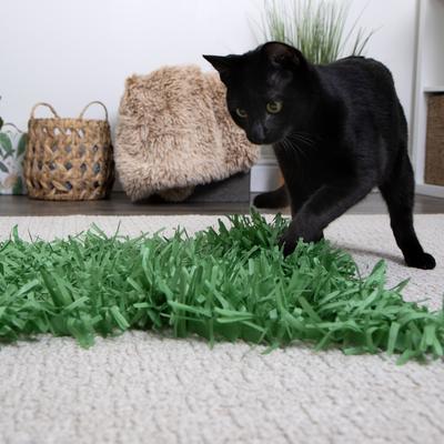 Show full view: SmartyKat Instincts Meadow Mayhem Paper Grass Hide & Seek Cat Toy, 2-pack slide 3 of 8