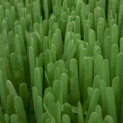 Show full view: SmartyKat Instincts Meadow Mayhem Paper Grass Hide & Seek Cat Toy, 2-pack slide 7 of 8