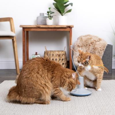 Show full view: SmartyKat Instincts Wild Wand Electronic Motion Cat Toy slide 7 of 8