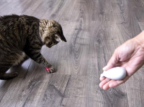 Show full view: SmartyKat Loco Laser Cat Toy, Color Varies slide 10 of 13