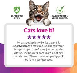 SmartyKat Race 'N Chase Electronic Remote Control Mouse Cat Toy, Orange, Medium slide 2 of 7