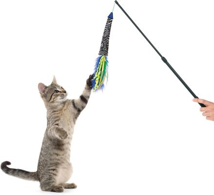 Show full view: SmartyKat Showy Singer Electronic Sound Wand Cat Toy slide 2 of 9