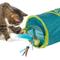 Show in main carousel: SmartyKat Sneaky Chute Electronic Motion & Tunnel Cat Toy slide 2 of 8