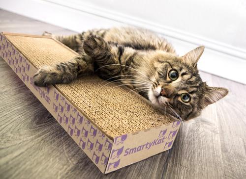 Show full view: SmartyKat Super Scratcher with Catnip Cat Scratcher, Single slide 9 of 12