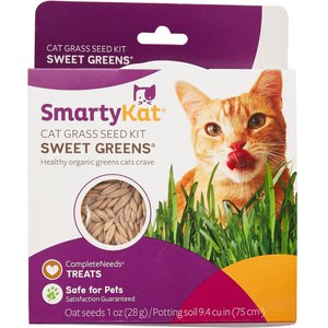 SmartyKat Sweet Greens Cat Grass Seed Kit, 1-oz bag