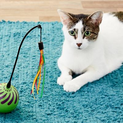 Show full view: SmartyKat Universal Replacement Wand Cat Toy, 3 count slide 6 of 8