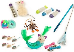 SmartyKat Bundle Welcome Home New Cat Necessity Variety Pack Catnip Cat Toys, Multi Color, Set of 18