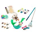 SmartyKat Bundle Welcome Home New Cat Necessity Variety Pack Catnip Cat Toys, Multi Color, Set of 18