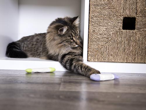 Show full view: SmartyKat Bundle Welcome Home New Cat Necessity Variety Pack Catnip Cat Toys, Multi Color, Set of 18 slide 3 of 7