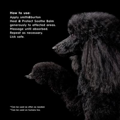 Show full view: smith&burton Heal & Protect Dog & Cat Soothe Balm, 2.2-fl oz tin slide 7 of 8