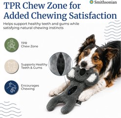 Smithsonian Long Animals TPR Dental Chew Zone Interactive Koala Squeaky Stuffing Free Plush Dog Toy with Crinkle Sounds, Small slide 2 of 6
