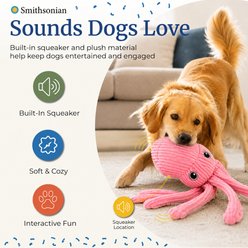 Smithsonian Stuffing-Free Crinkle Sounds & TPR Chew Zone, Interactive Long Animals Octopus Squeaky Plush Dog Toy, Medium, 2 count slide 2 of 5