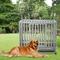 Show in main carousel: SMONTER Heavy Duty I Shape Dog Crate, Silver, 42-in slide 1 of 8