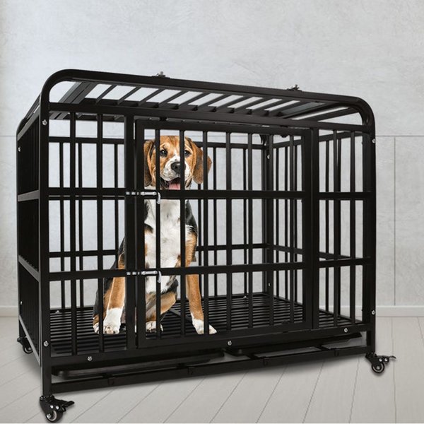 Beautiful view of Heavy Duty Dog Crate For Large Breed Inside