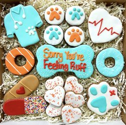 Snaks 5th Avenchew Get Well Gift Box Dog Treats