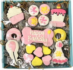 Snaks 5th Avenchew Happy Barkday Girl Box Dog Treats