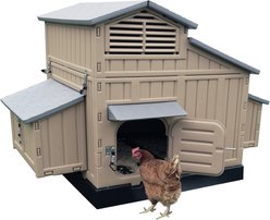 Snap Lock Snap Together Chicken Coop, Large slide 2 of 8