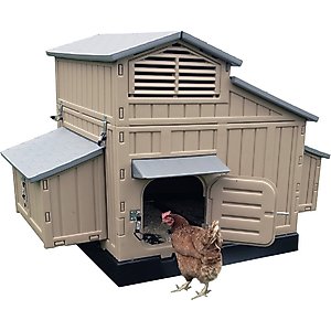 Snap Lock Snap Together Chicken Coop, Large