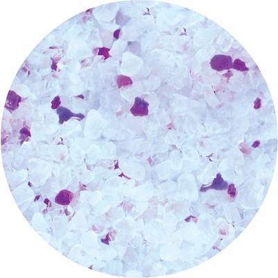 Show full view: Snappy Tom Natural Lavender Scented Non-Clumping Crystal Cat Litter, 4.4-lb bag slide 4 of 9