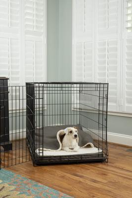 Show full view: Snoozer Pet Products 100% Washable Forgiveness Cozy Cave Orthopedic Dog & Cat Crate Bed with Removable Cover, Anthracite, Small slide 1 of 9