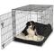 Show in main carousel: Snoozer Pet Products 100% Washable Forgiveness Cozy Cave Orthopedic Dog & Cat Crate Bed with Removable Cover, Black, Large slide 2 of 9