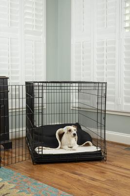 Show full view: Snoozer Pet Products 100% Washable Forgiveness Cozy Cave Orthopedic Dog & Cat Crate Bed with Removable Cover, Black, X-Large slide 1 of 9