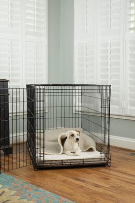 Show full view: Snoozer Pet Products 100% Washable Forgiveness Cozy Cave Orthopedic Dog & Cat Crate Bed with Removable Cover, Buckskin, Small slide 1 of 9