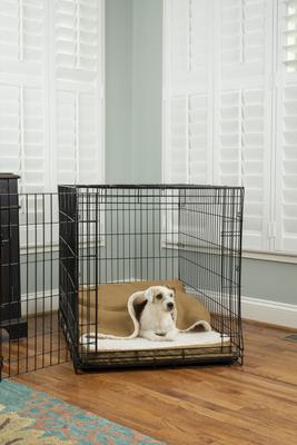 Show full view: Snoozer Pet Products 100% Washable Forgiveness Cozy Cave Orthopedic Dog & Cat Crate Bed with Removable Cover, Camel, Small slide 1 of 9