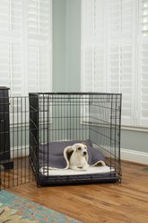 Snoozer Pet Products 100% Washable Forgiveness Cozy Cave Orthopedic Dog & Cat Crate Bed with Removable Cover, Heather Gray, Small