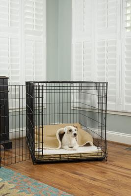 Show full view: Snoozer Pet Products 100% Washable Forgiveness Cozy Cave Orthopedic Dog & Cat Crate Bed with Removable Cover, Khaki, Large slide 1 of 9