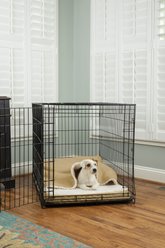 Snoozer Pet Products 100% Washable Forgiveness Cozy Cave Orthopedic Dog & Cat Crate Bed with Removable Cover, Khaki, X-Large